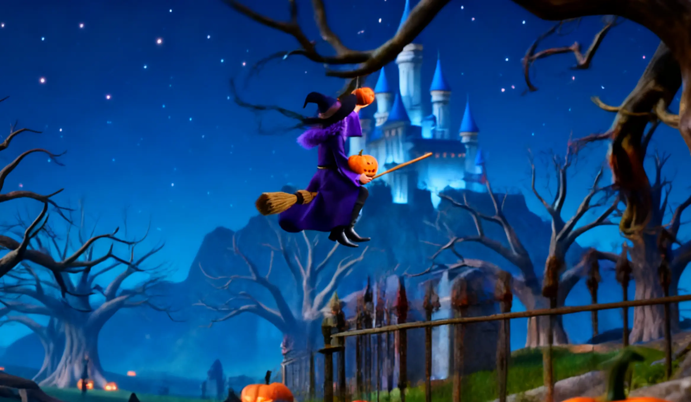Broomstick Fly