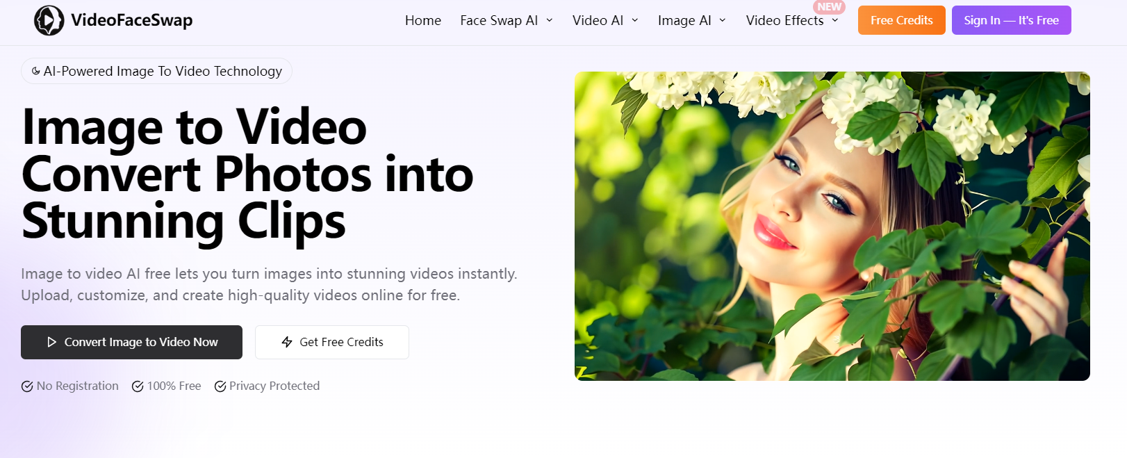 videofaceswap's tool:Image to Video Tool
