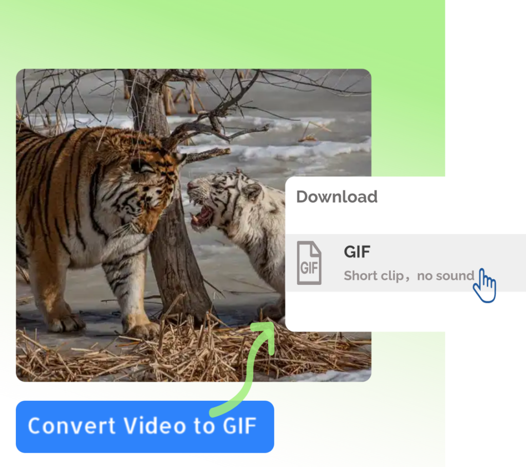 Video to GIF Converter